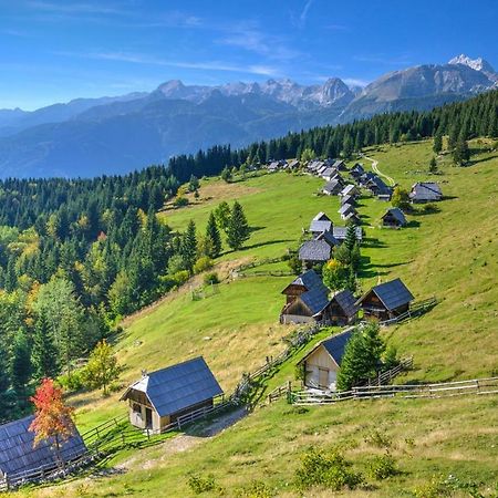 Apartma Dominik Zgornje Gorje Екстериор снимка